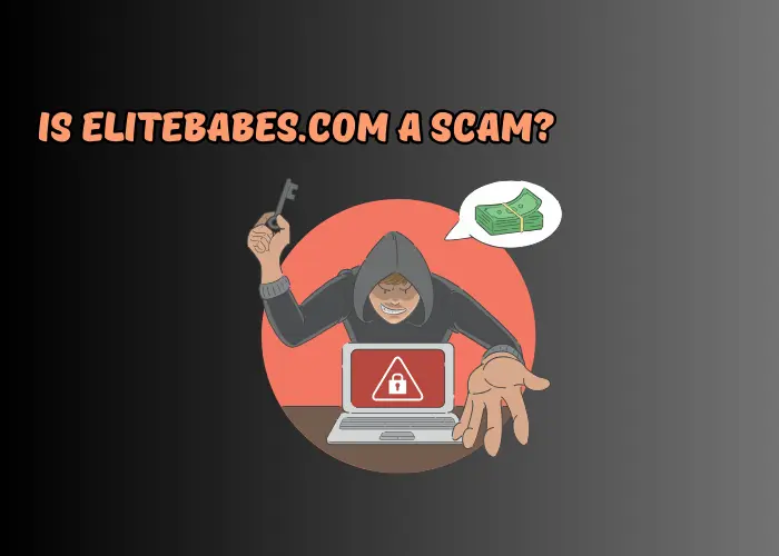 Is EliteBabes.com a Scam?